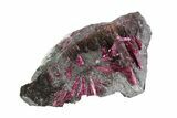 Vibrant, Magenta Erythrite Crystals - Morocco #93601-2